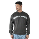 BASIC SWEATER - GRAY